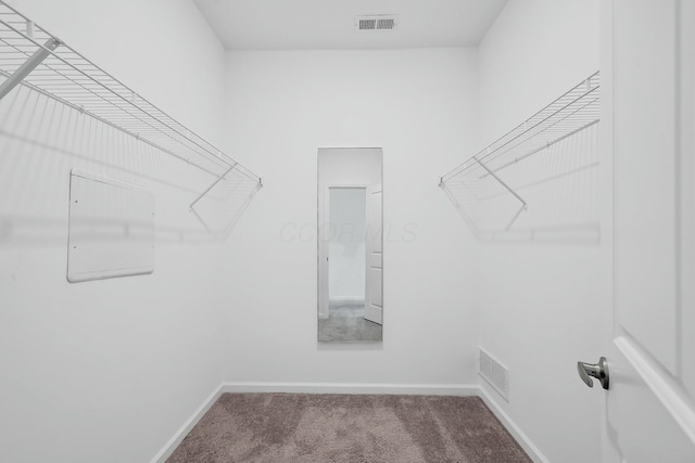 spacious closet featuring carpet and visible vents