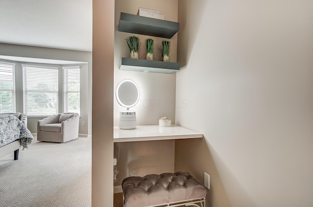 room details featuring carpet floors