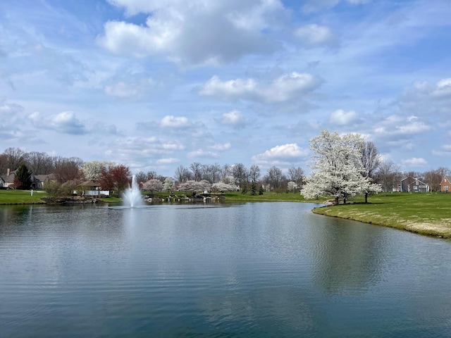 property view of water