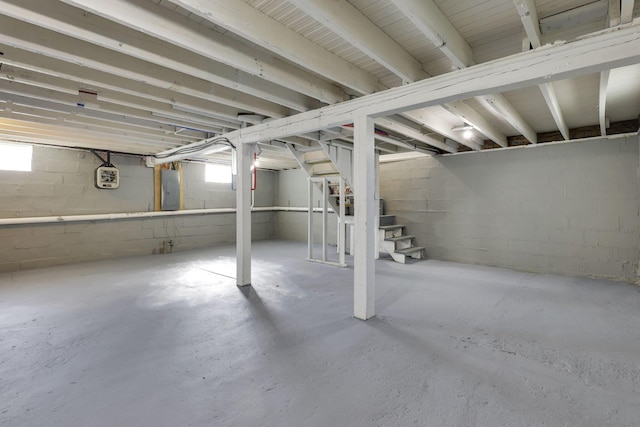 basement featuring a healthy amount of sunlight and electric panel