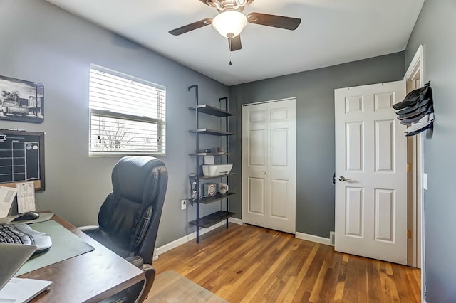 office space with wood-type flooring and ceiling fan