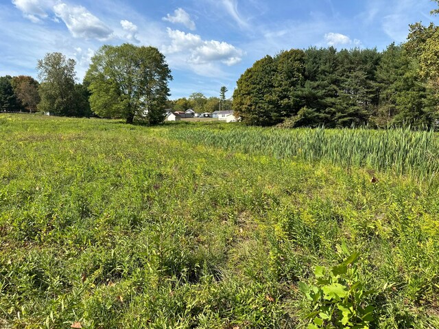 1048 Parkway Dr, Logan, OH 43138 - view of local wilderness