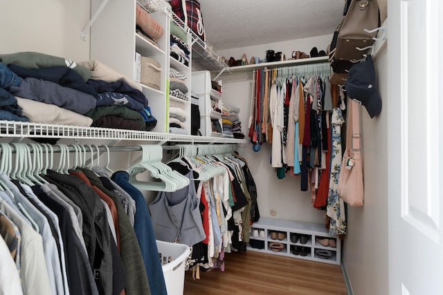 walk in closet with hardwood / wood-style flooring