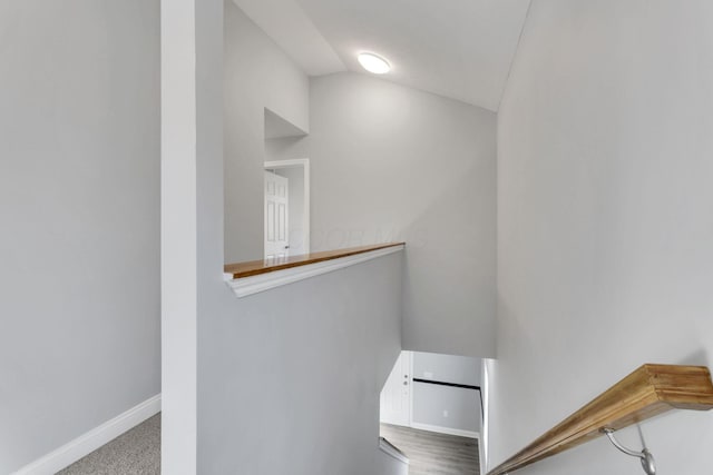 spacious closet featuring lofted ceiling and carpet flooring