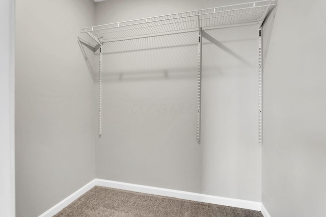 walk in closet with carpet