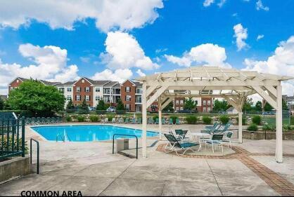 pool featuring a patio and a pergola