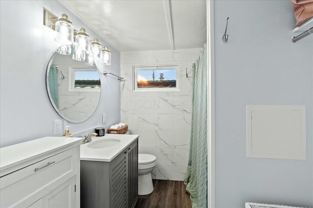 bathroom with vanity, hardwood / wood-style floors, toilet, and a healthy amount of sunlight