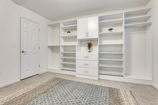 walk in closet featuring carpet floors