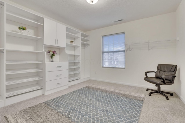 spacious closet featuring light carpet