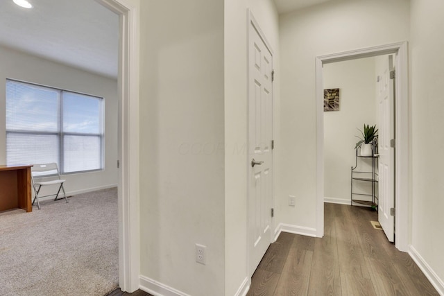 hallway with hardwood / wood-style floors