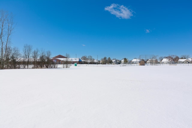 view of yard layered in snow