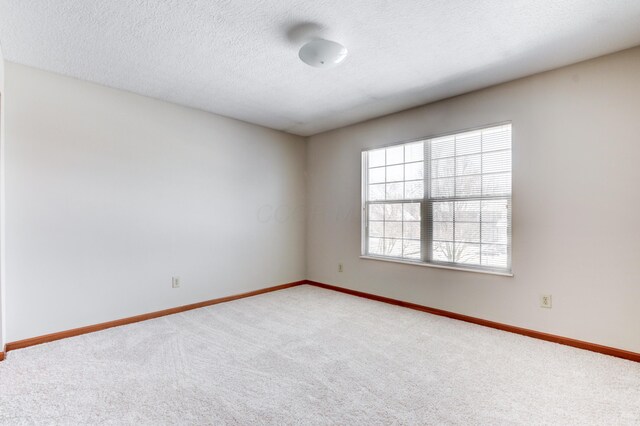 empty room featuring a textured ceiling and carpet flooring