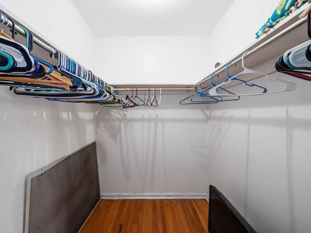 spacious closet with hardwood / wood-style flooring