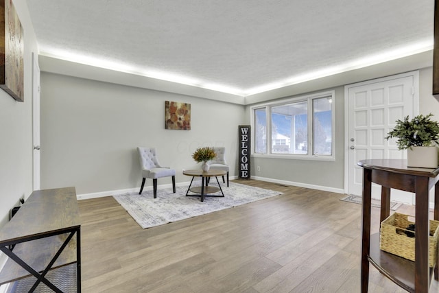 living area with wood-type flooring and a textured ceiling