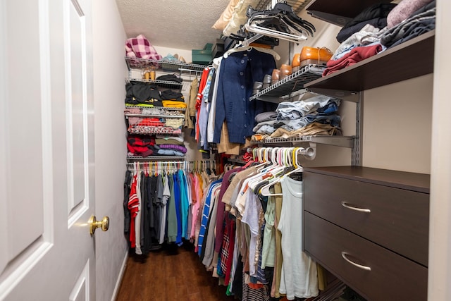 spacious closet with dark hardwood / wood-style floors