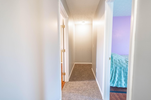 hall featuring carpet flooring and a textured ceiling