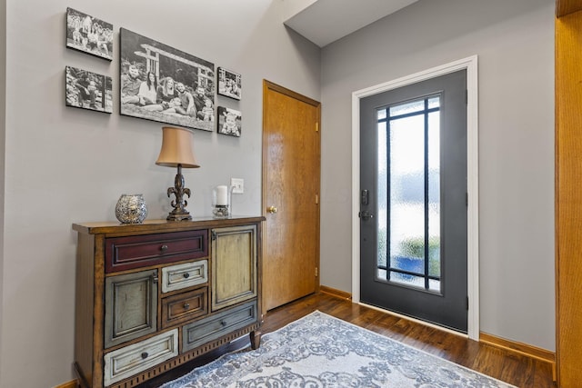 entryway featuring dark hardwood / wood-style floors and a healthy amount of sunlight