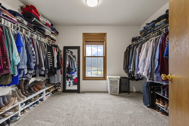 spacious closet with carpet