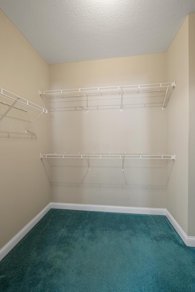 walk in closet with dark carpet