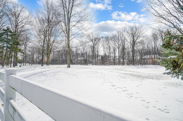 view of yard covered in snow