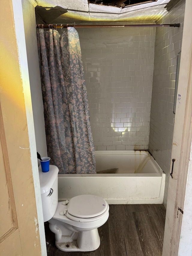 bathroom with toilet and wood-type flooring