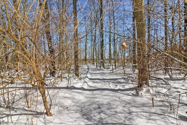 view of snowy landscape