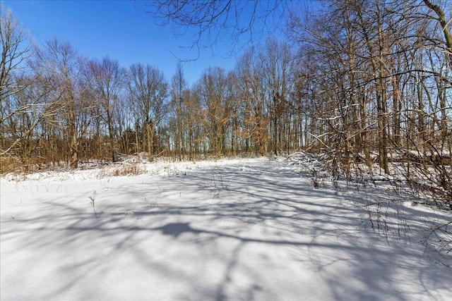 view of snowy yard