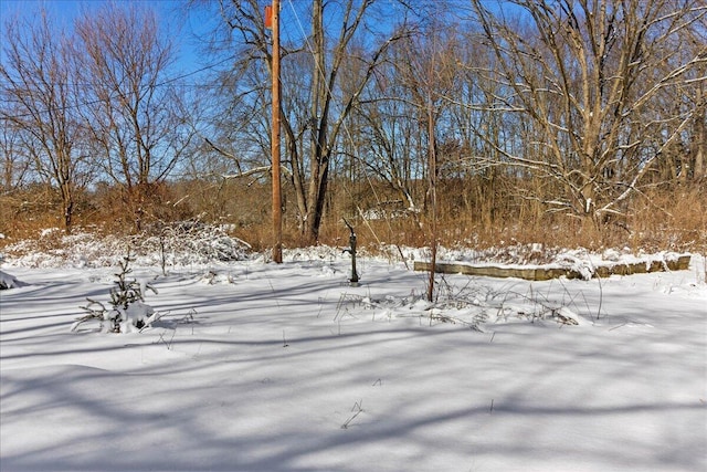 view of snowy yard