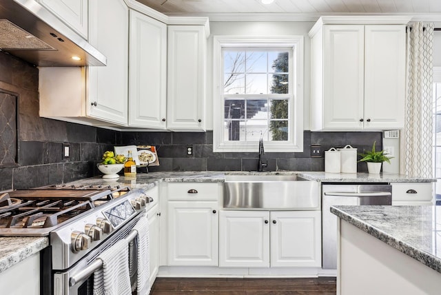 kitchen featuring a sink, appliances with stainless steel finishes, exhaust hood, and white cabinetry