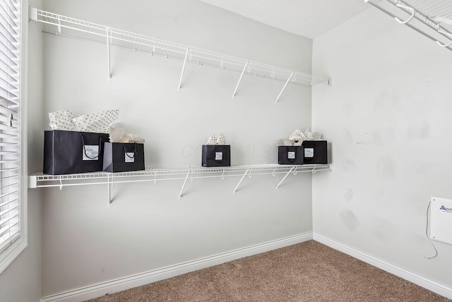 spacious closet with carpet