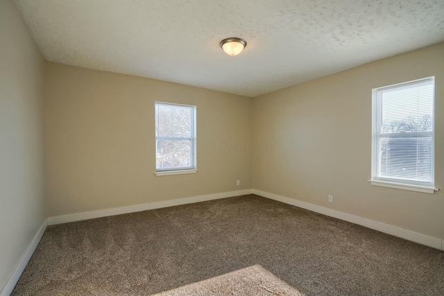 spare room with carpet flooring and a textured ceiling