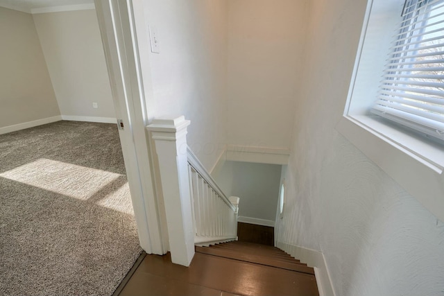 stairs with carpet floors