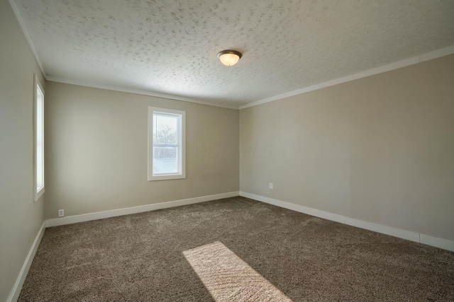 spare room featuring carpet flooring, crown molding, and a textured ceiling