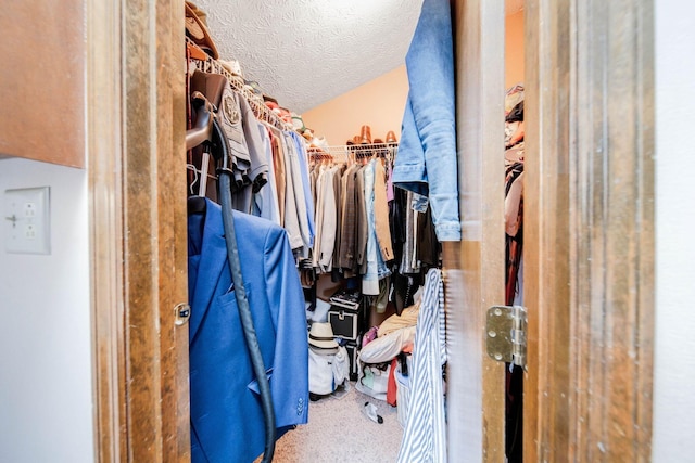 walk in closet featuring carpet floors