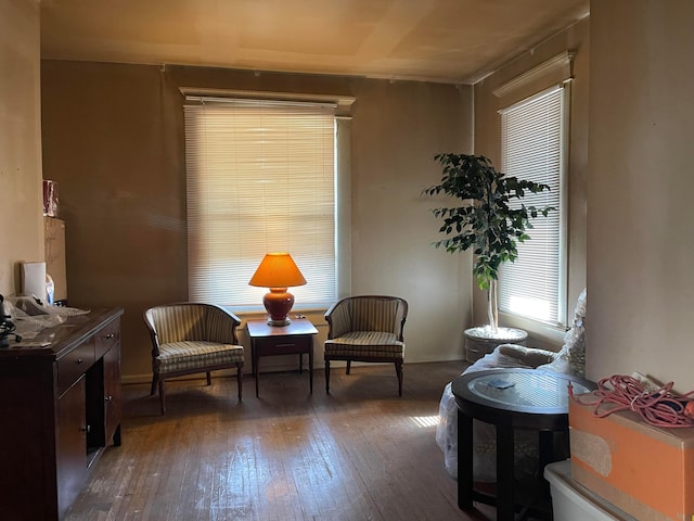 sitting room with dark wood-type flooring