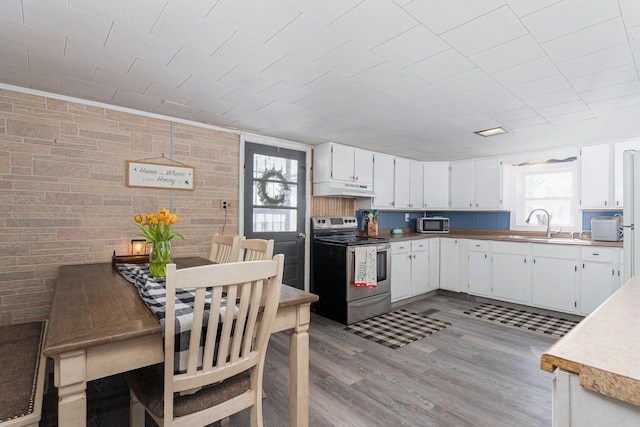 kitchen featuring white cabinets, a wealth of natural light, and stainless steel appliances