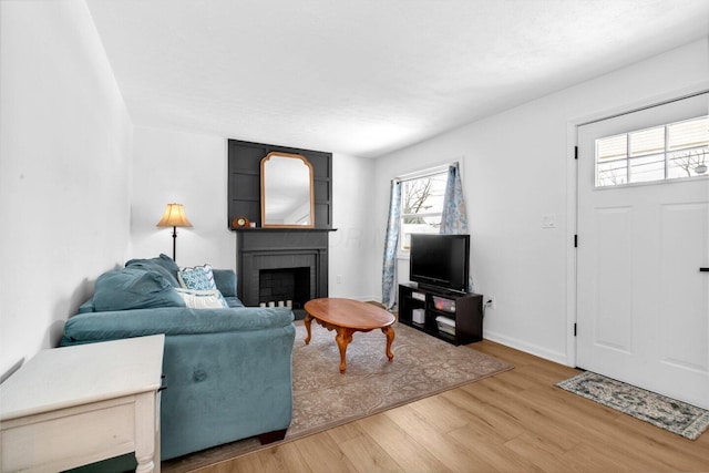 living room featuring a large fireplace and hardwood / wood-style floors