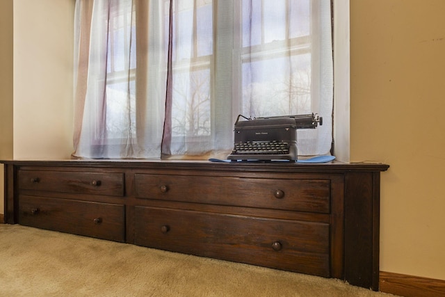 room details featuring carpet