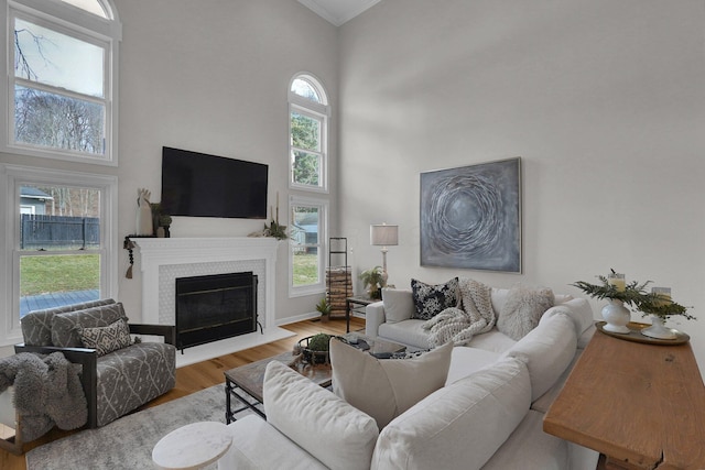 living room featuring a healthy amount of sunlight, a high ceiling, wood finished floors, and a glass covered fireplace