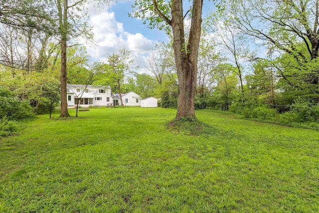 view of grassy yard
