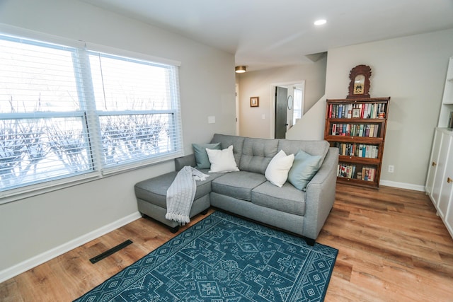 living room featuring hardwood / wood-style flooring