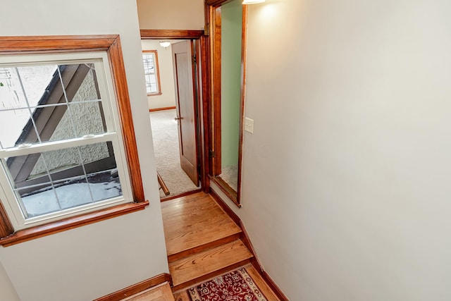 corridor featuring wood-type flooring