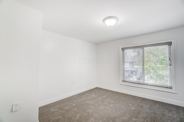 empty room featuring carpet flooring