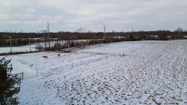 view of snowy yard