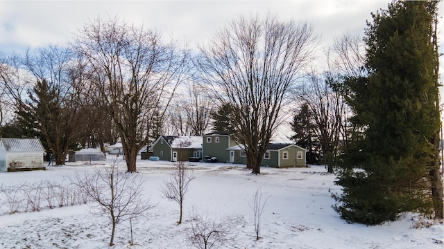 view of snowy yard