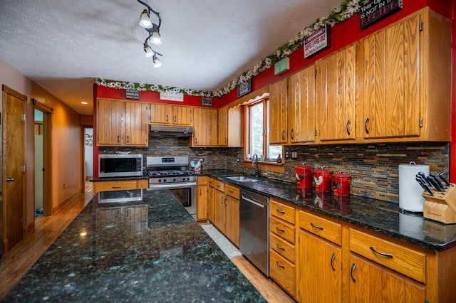 kitchen with light wood-type flooring, under cabinet range hood, stainless steel appliances, and a sink