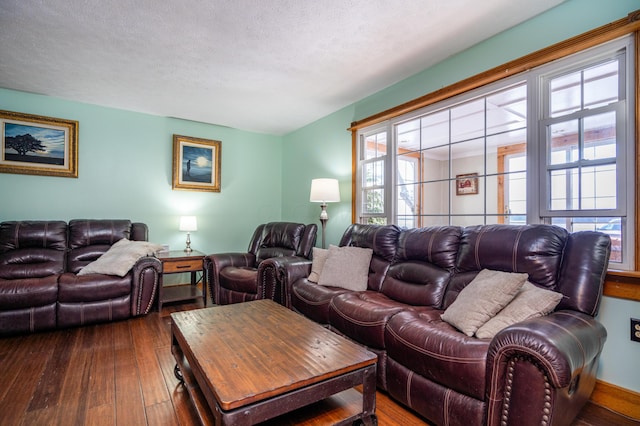 living area featuring a healthy amount of sunlight, a textured ceiling, and wood finished floors