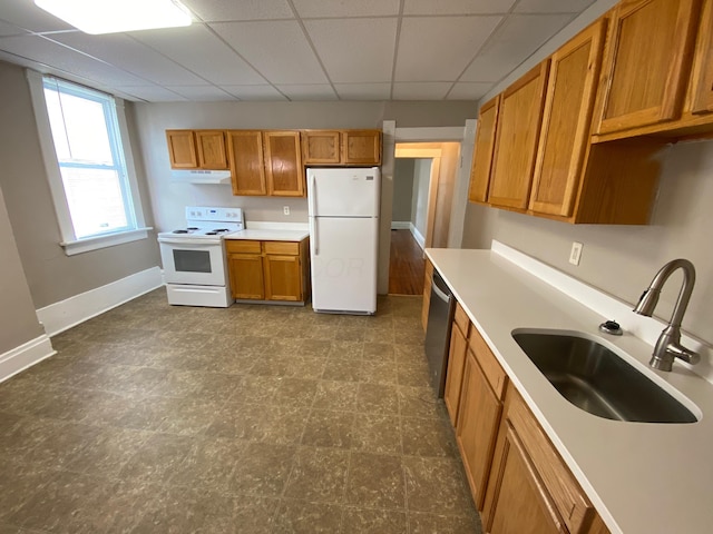 kitchen with sink, white appliances, and a drop ceiling