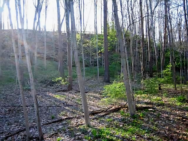 4650 Chatham Ct, Dublin, OH 43017 - photo 5