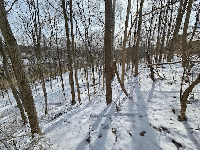 4650 Chatham Ct, Dublin, OH 43017 - photo 11